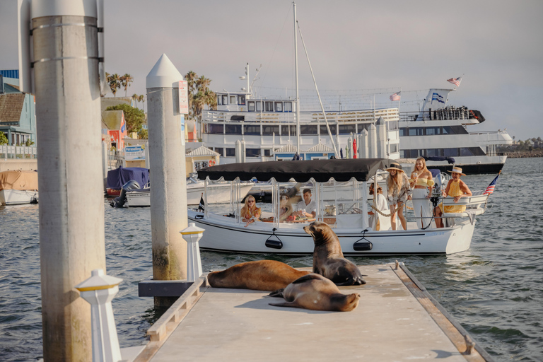 Los Angeles: Sea Lions Watching Cruise 90 Min Sea Lions Adventure Cruise