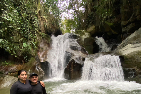 From Medellín: Pineapple Farm Experience with Tasting