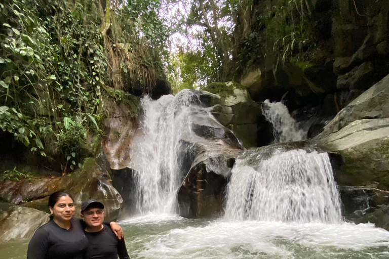 From Medellín: Pineapple Farm Experience with Tasting
