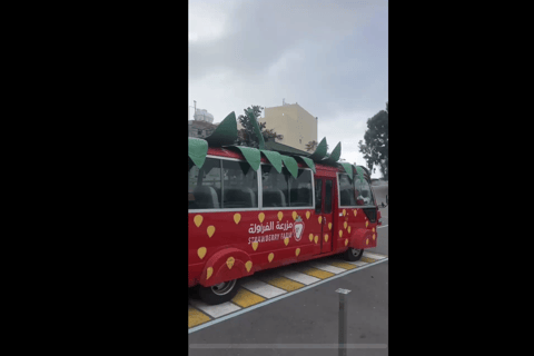 Makkah or Jeddah to Al-Hada, Al-Shafa, and Taif City Tour A journey full of experiences، learn about Saudi hospitality