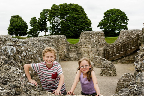 Salisbury : Old Sarum billet d'entréeSalisbury : Old Sarum Family Ticket avec 1 seul adulte