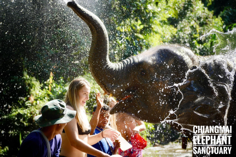 Exclusieve ervaring halve dag met familie reuze dieren