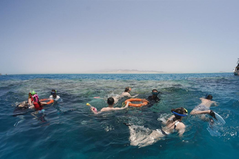 From Sharm: Half day Snorkeling Trip with Lunch Half day Red Sea cruise With Entry fees and transfers