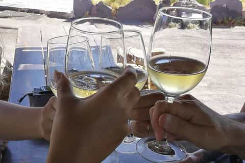 Fuerteventura Tasting Experience