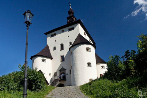 TOPP av Slovakien: Gruva i Banská Štiavnica &amp; simning i grottor