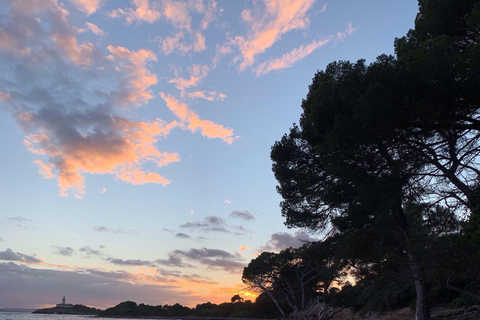 Alcudia: Private boat tour to the lighthouse island