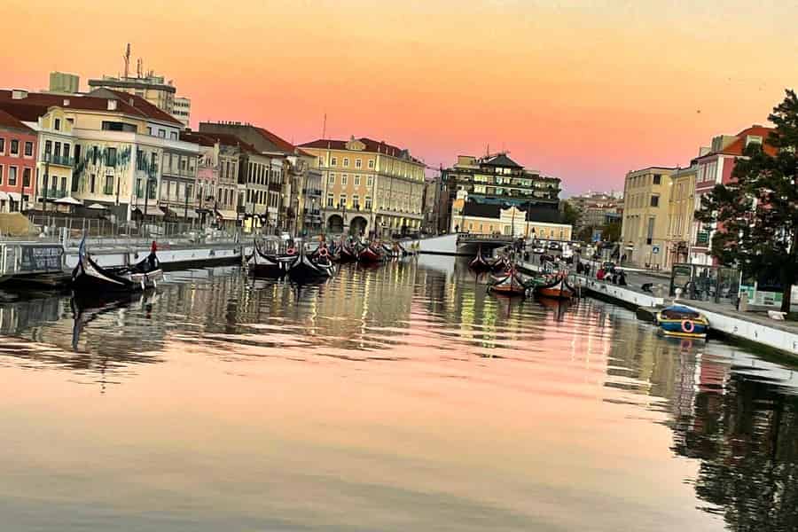 Lissabon: Privater Transfer nach Porto mit Stopps bis zu 3 Städten. Foto: GetYourGuide