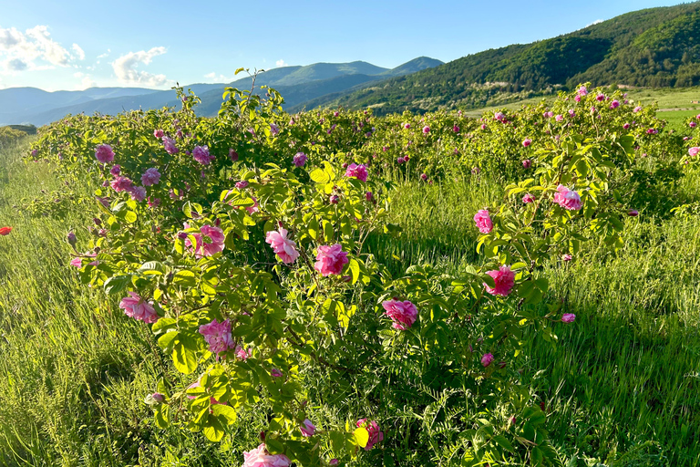 Sofia:The Highlights of Bulgaria - Rose Valley and Buzludzha