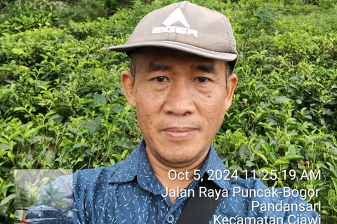 Tangkuban Perahu Mountain Tour