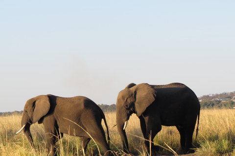 Zimbabwe: 7-Day Victoria Falls, Hwange & Matobo Tour