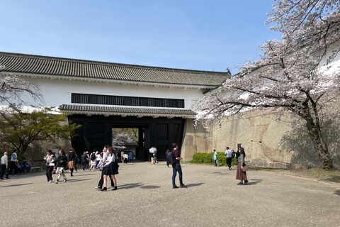 Osaka: Visita guiada de 3 horas ao Castelo e Museu Histórico de Osaka