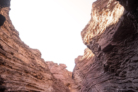 Cafayate: Tour de dia completo por bodegas y degustacion de vinos