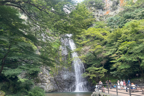 Osaka: Minoh Waterfall & Katsuo-ji Temple Half-Day Tour