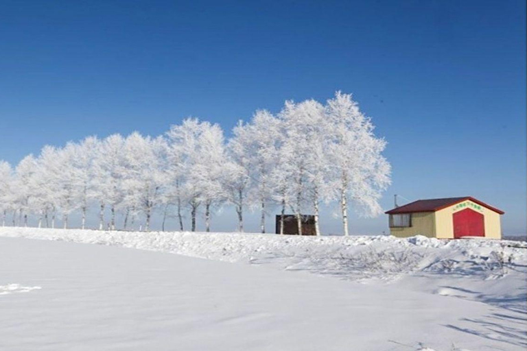 Sapporo: Biei & Furano Private Tour with Hot Spring