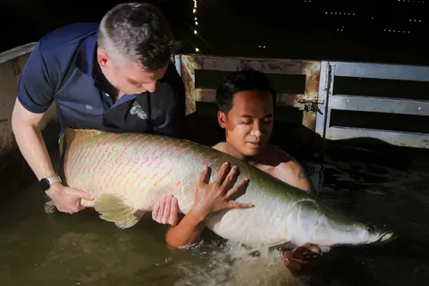 Ho Chi Minh: Giant Monster Fishing Day Tour