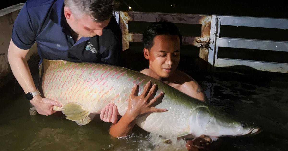 Best Family & Friend Day Trips and Activities in Vietnam 101 Ho Chi Minh: Giant Monster Fishing Day Tour