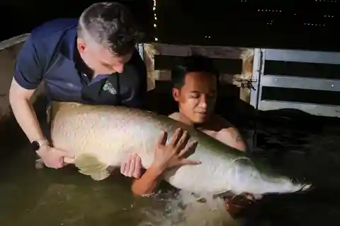 Ho Chi Minh: Giant Monster Fishing Day Tour