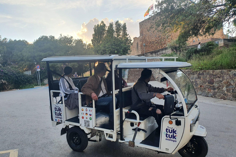Port of Málaga: Electric Tuk-Tuk Tours from the Cruise Ship Terminal Exclusive tours for cruise passengers, departing directly from the cruise ship terminal