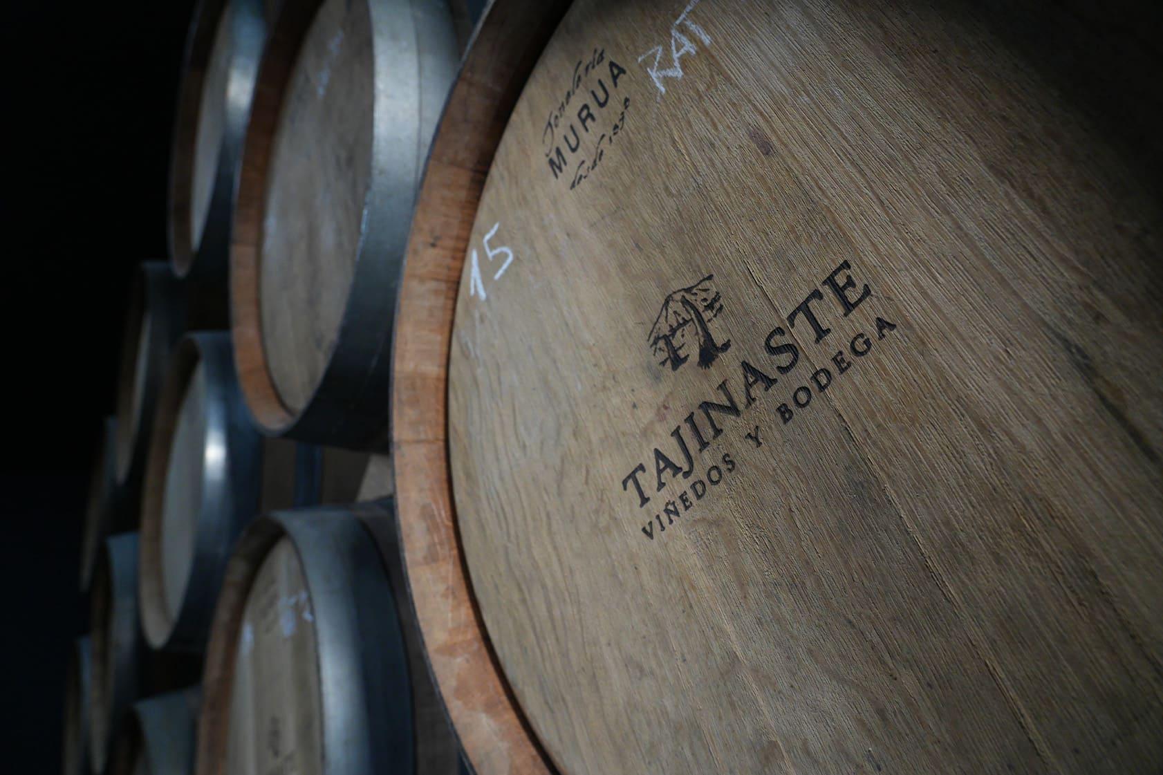 Vulkanische Weintour: Historische Weinberge & Verkostung