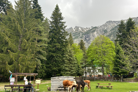 From Sofia: Rila Monastery, Sacred Cave & Alpine Picnic