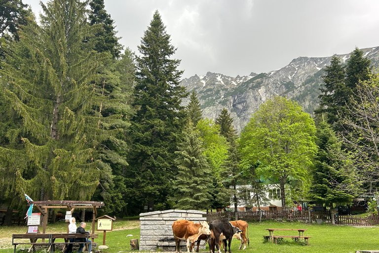 From Sofia: Rila Monastery, Sacred Cave & Alpine Picnic
