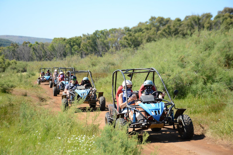 Kusadasi: 250cc Ultra-Power Quad or Buggy Safari Single 250cc Buggy (1 Pax / 1 Vehicle)