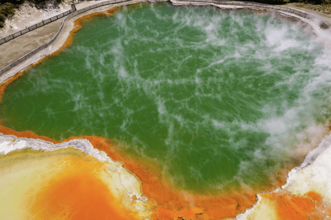 Tauranga: Wai-o-Tapu with Redwood Forest Walk or Forest Spa