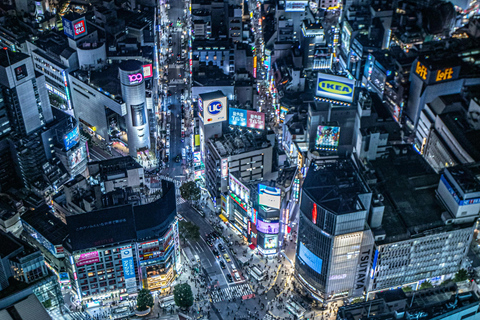 Tour privado de Tokio en coche con chófer de habla inglesa