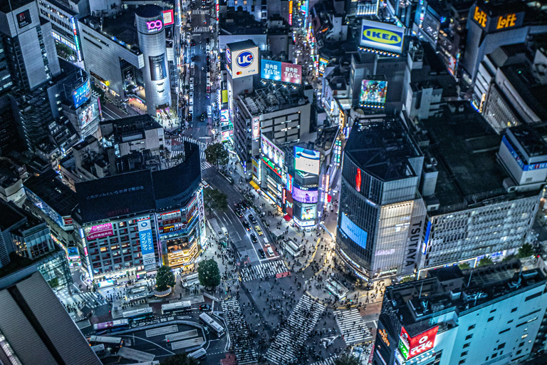 Tour privado de Tokio en coche con chófer de habla inglesa