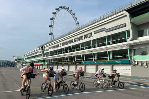 Singapore: Food and Bike Tour - Downtown - Image 3