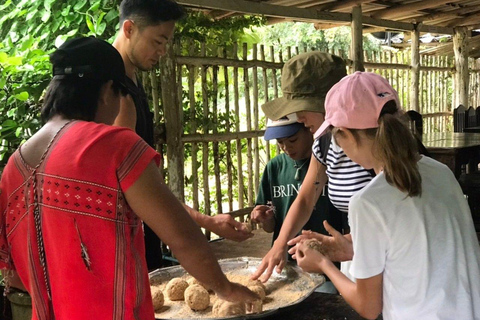 Chiang Mai: Elephant Feeding Experience, Hand Feed Elephants Elephant Sanctuary Feeding Experience Chiang Mai