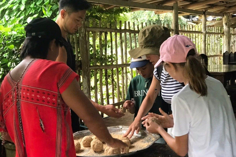 Chiang Mai : Nourrir les éléphants, nourrir les éléphants à la mainExpérience de nourrissage au sanctuaire des éléphants Chiang Mai