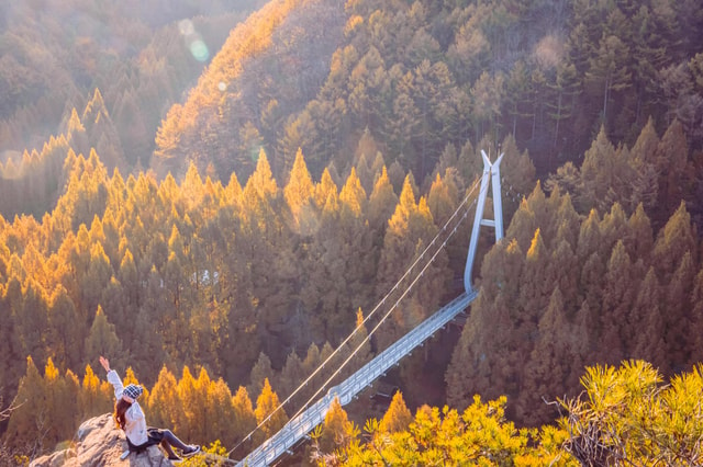 Seoul: Autumn Jangtaesan Recreational Forest One Day Tour