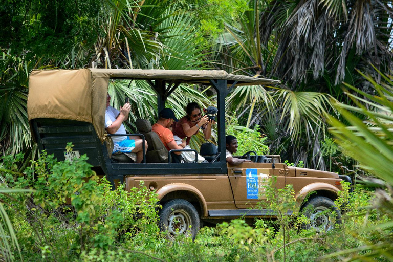 Depuis Zanzibar : Safari de nuit dans le Selous G.R. avec volssafari partagé