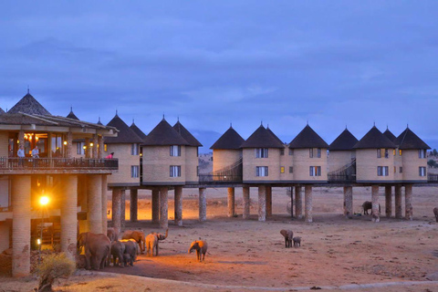 4 days Tsavo East, Amboseli and saltlick lodge safari