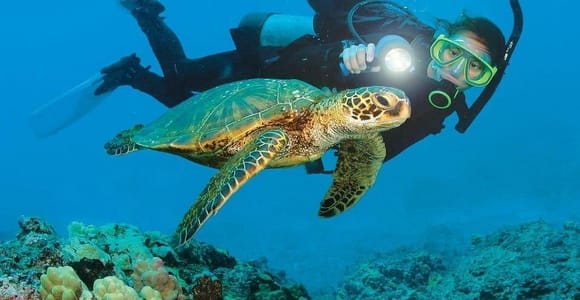 Alanya: Scuba Diving and Snorkeling Trip