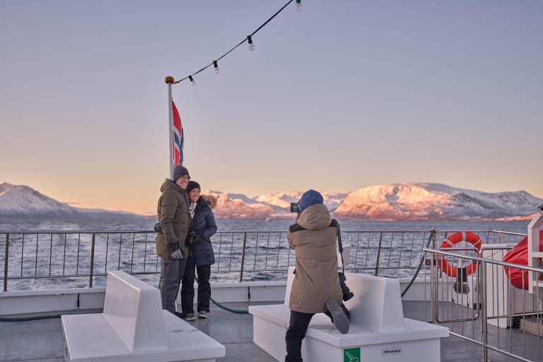 Tromsø: Cruzeiro pelos fiordes do Ártico em paisagens polares