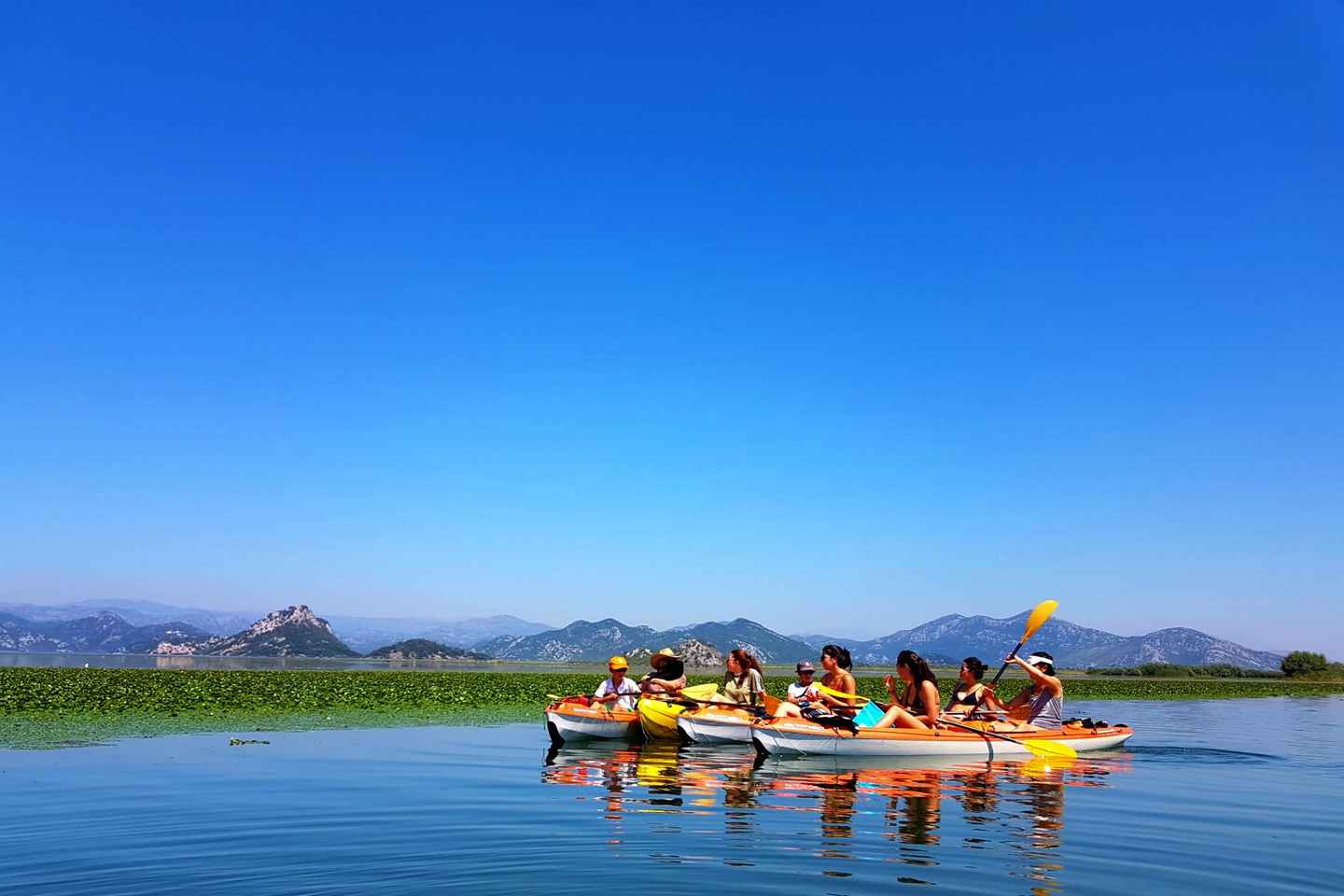 Excursion en kayak au lac Skadar - Aventure sauvage