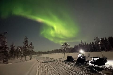 Ylläs: Nordlicht-Motorschlittensafari mit Transfers