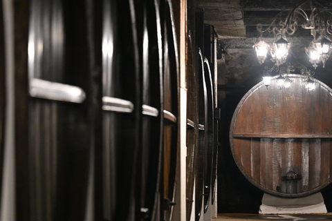 Bodega Santa Rosa: home to the largest underground cellar in South America Bodega Santa Rosa: home to the largest underground wine cellar in South America