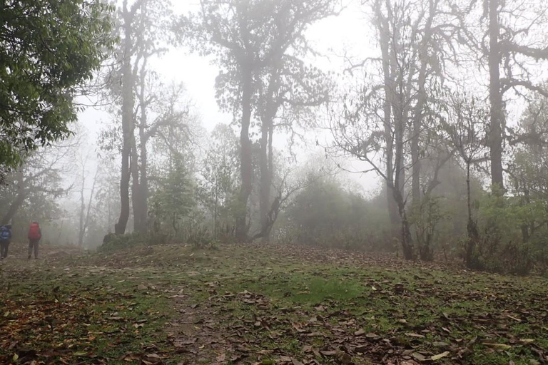 Pokhara : 5 jours de trek au camp de base du Mardi Himal avec transferts