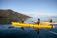 Die Freycinet Paddle Kayak Tour - Hizvo