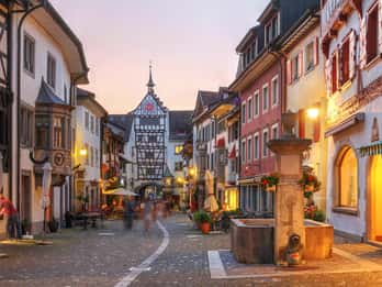 Tour privato da Zurigo alle cascate del Reno e a Stein am Rhein