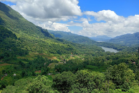 Colombo to Kandy Full-Day Private Tour Experience