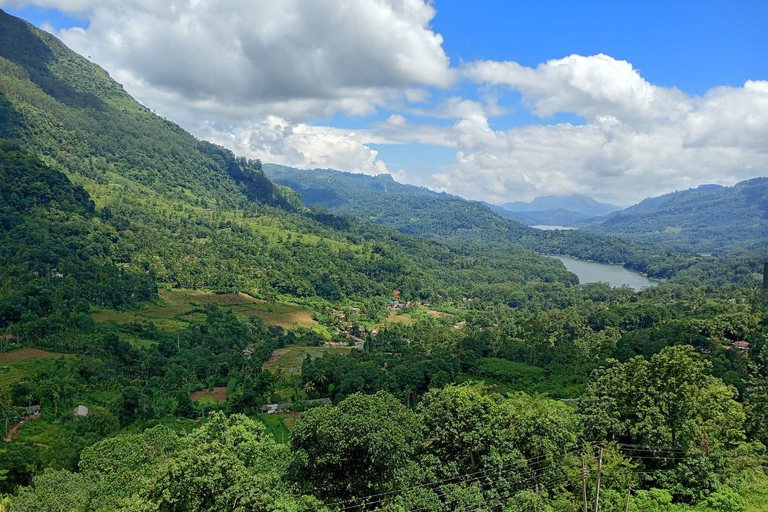 Colombo to Kandy Full-Day Private Tour Experience