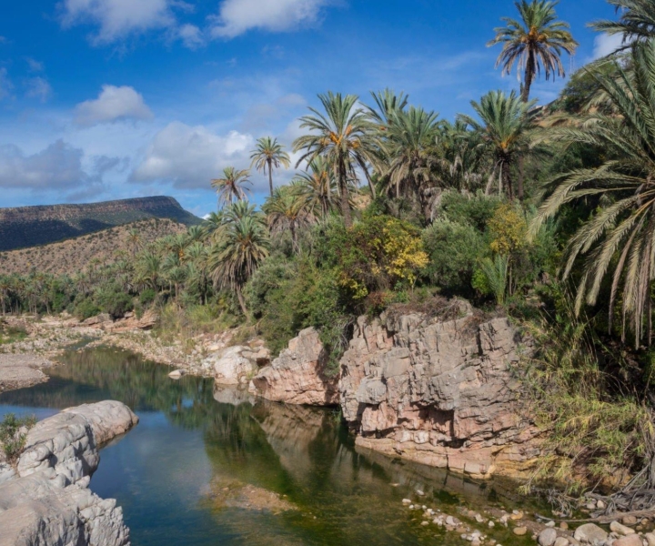 Agadir tai Taghazout: Paratiisilaakso Atlasvuori & Lounas