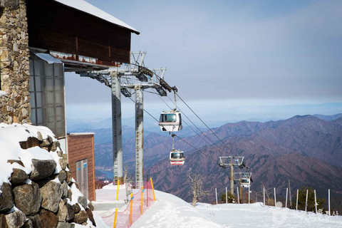 From Seoul: Suwon Hwaseong and Deogyusan Winter Tour Hongik Univ Station Exit 4