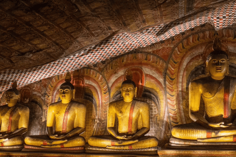 Sigiriya & Dambulla All Inclusive Day Trip Sigiriya & Dambulla All Inclusive Day Trip