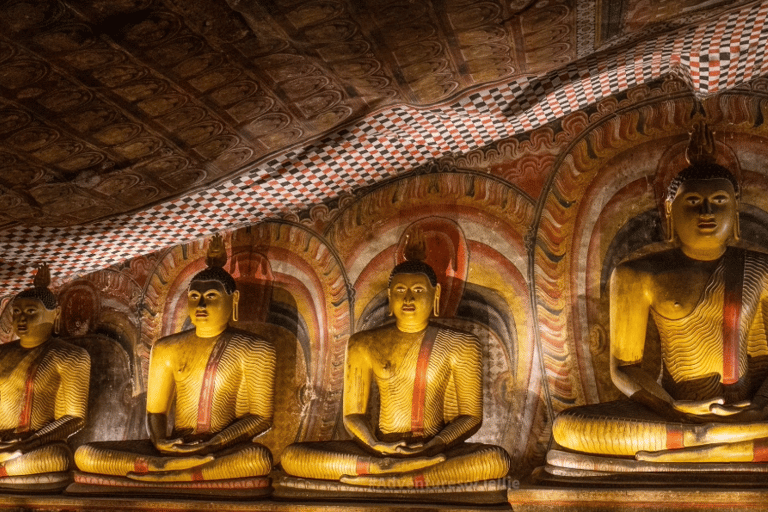 Sigiriya & Dambulla All Inclusive Day Trip Sigiriya & Dambulla All Inclusive Day Trip