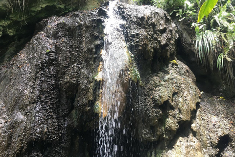 St. Lucia: Private Bootstour nach SoufriereHalbtags 25&#039; Schnellboot &quot;Israel King&quot;